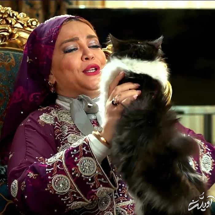 عاشقانه جدید و سوپر لاکچری بهاره رهنما و حاجی + فیلم